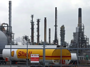 shell3